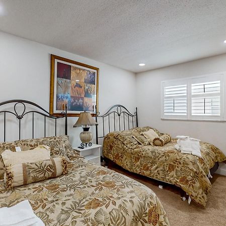 Tropical Paradise Clearwater Beach Zimmer foto
