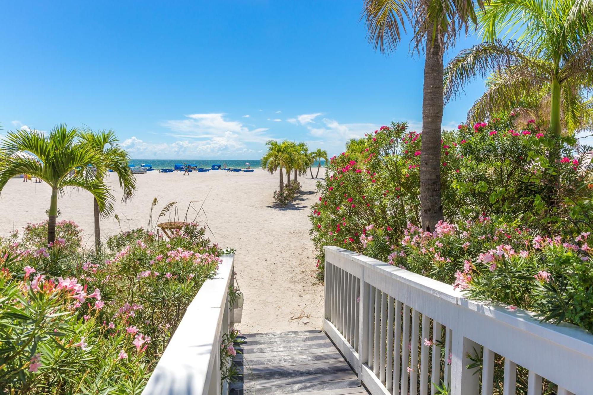Tropical Paradise Clearwater Beach Zimmer foto